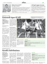 Síða 33