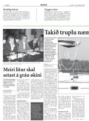 Síða 8
