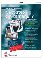 Síða 2