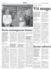 Síða 8
