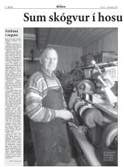 Síða 18