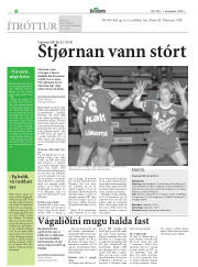 Síða 20