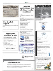 Síða 41