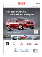 Síða 2