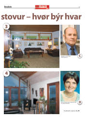 Síða 5