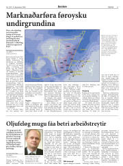 Síða 21
