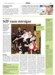 Síða 27