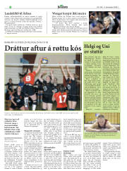 Síða 28