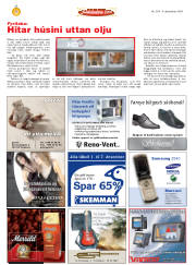 Síða 42