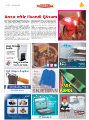 Síða 43