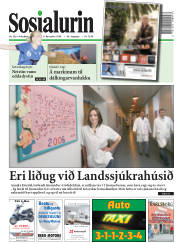 Síða 1