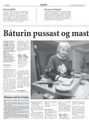 Síða 8