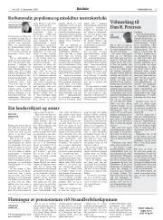 Síða 11