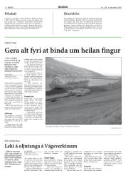 Síða 18