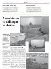 Síða 19