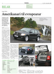 Síða 22