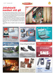 Síða 45