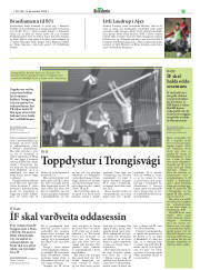 Síða 19