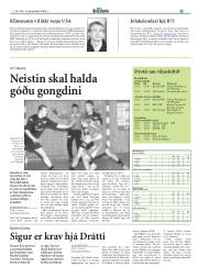 Síða 21