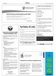 Síða 38