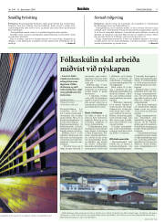 Síða 17