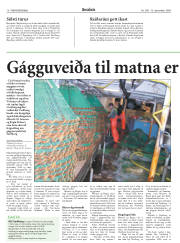 Síða 18