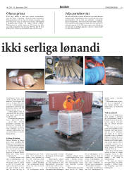 Síða 19