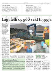 Síða 20