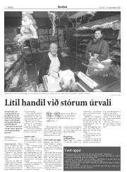 Síða 8