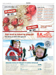 Síða 3