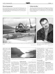 Síða 17