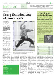 Síða 31