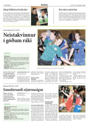 Síða 28
