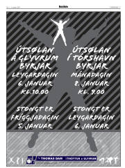 Síða 17
