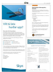 Síða 2