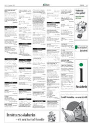 Síða 45