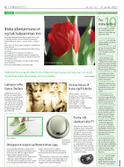 Síða 60