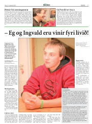 Síða 17