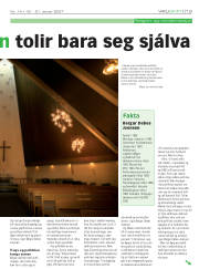 Síða 61