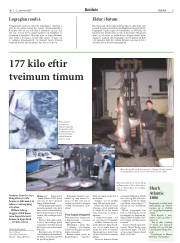 Síða 5