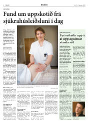 Síða 2