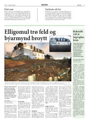Síða 3