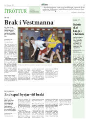 Síða 27