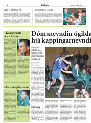 Síða 28