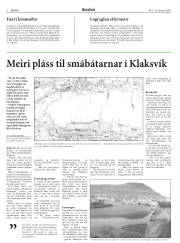 Síða 8