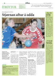 Síða 20