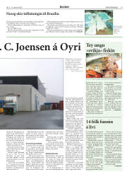 Síða 19