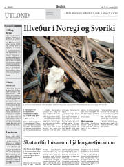 Síða 8