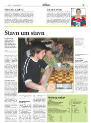 Síða 21