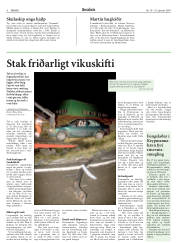 Síða 6